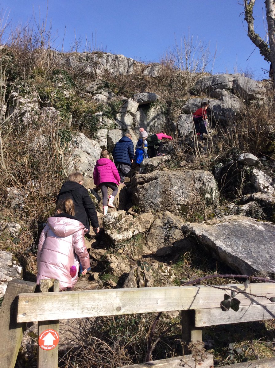 y3Torrisholme's tweet photo. From hiking to overcoming challenging heights, rock scrambling to den building, not forgetting the toasting of marshmallows 😋, this has got to be one of year 3’s highlights this week @TorrisholmeCPS https://t.co/BN0T9y2Er1