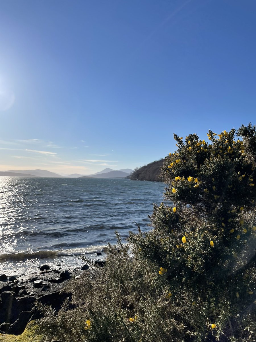 croftershouse's tweet photo. The sun is out in #camustianavaig #isleofskye https://t.co/nwjUw3yyZT