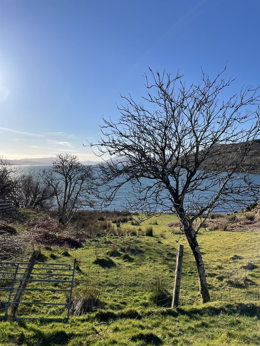 croftershouse's tweet photo. The sun is out in #camustianavaig #isleofskye https://t.co/nwjUw3yyZT