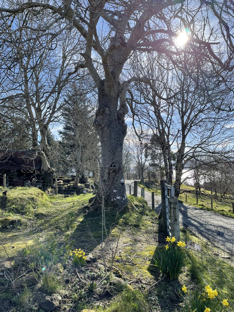 croftershouse's tweet photo. The sun is out in #camustianavaig #isleofskye https://t.co/nwjUw3yyZT
