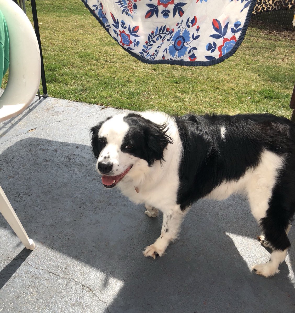 Doing Saturday chores with my assistant today ❤️