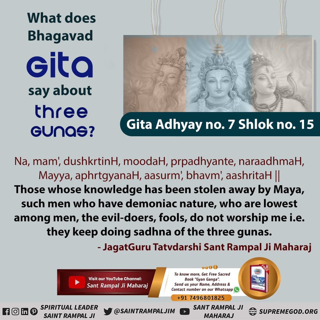 What does Bhagavad Gita say about  three Gunas?
Gita 7:15
Those whose knowledge has been stolen away by Maya, such men who have demoniac nature, who are lowest among men, the evil-doers, fools, do not worship me i.e. they keep doing sadhna of the 3 gunas. #सत_भक्ति_संदेश