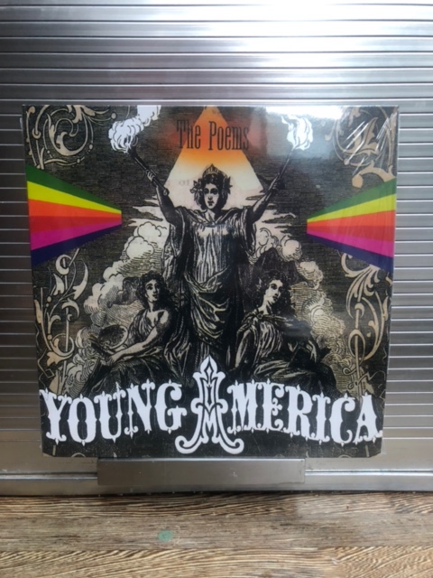petepaphides's tweet image. Deeply smitten with @LNFGlasgow’s beautiful new reissue of Young America by The Poems, who are the mid-2000s group formed by Bobby Bluebell, ft. Love &amp;amp; Money &amp;amp; High Fidelity alumni + cameos from Norman Blake and Justin Currie. Beaming loving felicitations to all concerned. x