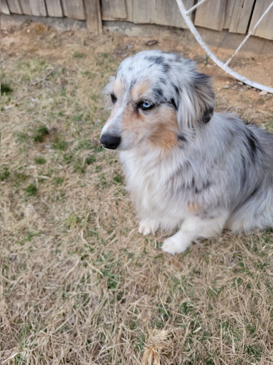 Tomorrow 70 degrees +Let the trail riding begin ( southern missouri