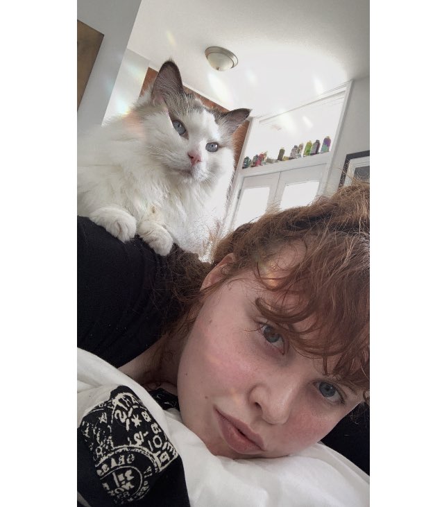 Vanessa Maderer tweet media