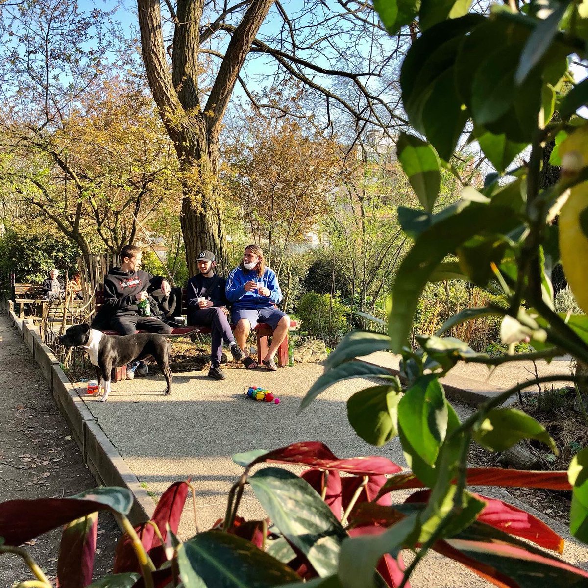 nicolasvoisin's tweet photo. Tu fais quoi demain?
On remet ça: semis, gros sons, bronzette et soin du parc (et des poules 💕) à la Guinguette!
#Bagnolet #Permaculture #bus115 #bus76 #leslilas https://t.co/DmsLvoGPd4