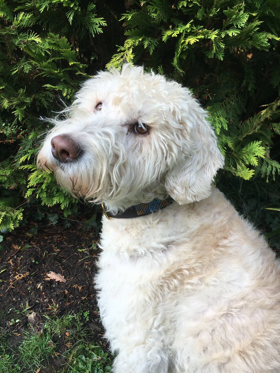 Mary Liz Management tweet media