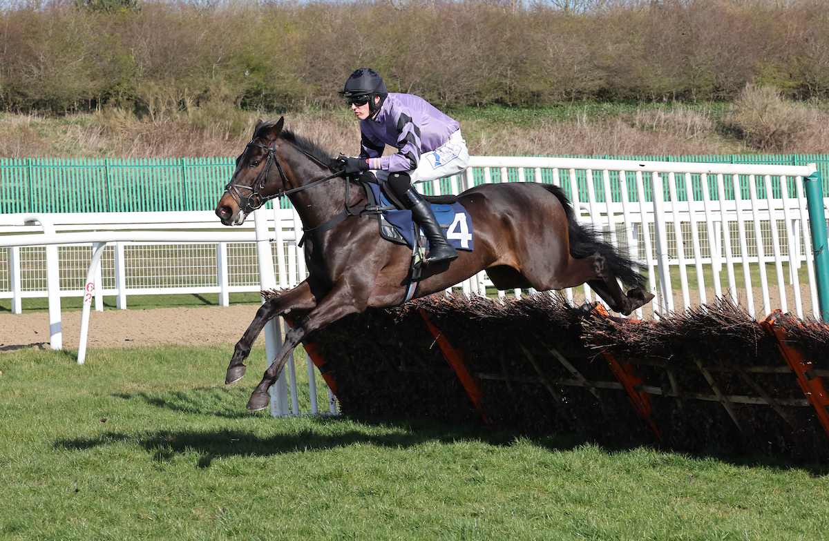 Newcastle Racecourse (@newcastleraces) on Twitter photo <a href="/DiageoGB/">Diageo GB</a> <a href="/GuinnessGB/">Guinness GB</a> <a href="/grossickphoto/">GROSSICK PHOTOGRAPHY</a> RACE 1 - <a href="/SmirnoffEurope/">Smirnoff</a>
At Chaplains Novices' Hurdle Race
🏆 Rock Legend
Jockey: Jack Andrews
Trainer: <a href="/DSkeltonRacing/">Dan Skelton Racing</a>
Owner: <a href="/ownersgroup_uk/">Owners Group Horses</a> <a href="/DiageoGB/">Diageo GB</a> <a href="/GuinnessGB/">Guinness GB</a> <a href="/grossickphoto/">GROSSICK PHOTOGRAPHY</a> RACE 1 - <a href="/SmirnoffEurope/">Smirnoff</a>
At Chaplains Novices' Hurdle Race
🏆 Rock Legend
Jockey: Jack Andrews
Trainer: <a href="/DSkeltonRacing/">Dan Skelton Racing</a>
Owner: <a href="/ownersgroup_uk/">Owners Group Horses</a>