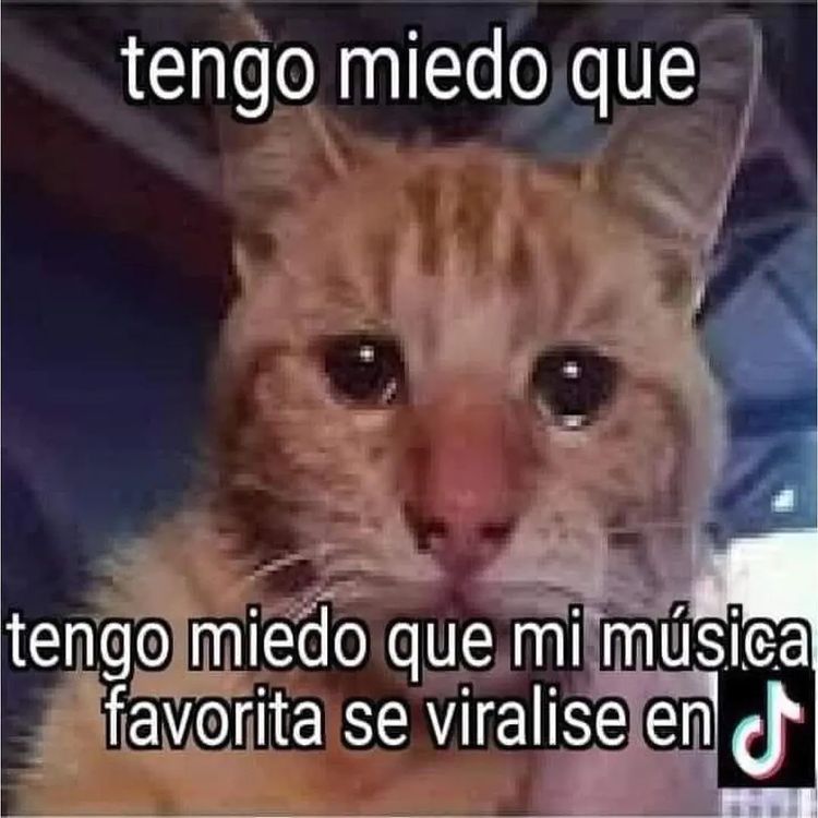 vinoypastis (@vinoypastillas) on Twitter photo 