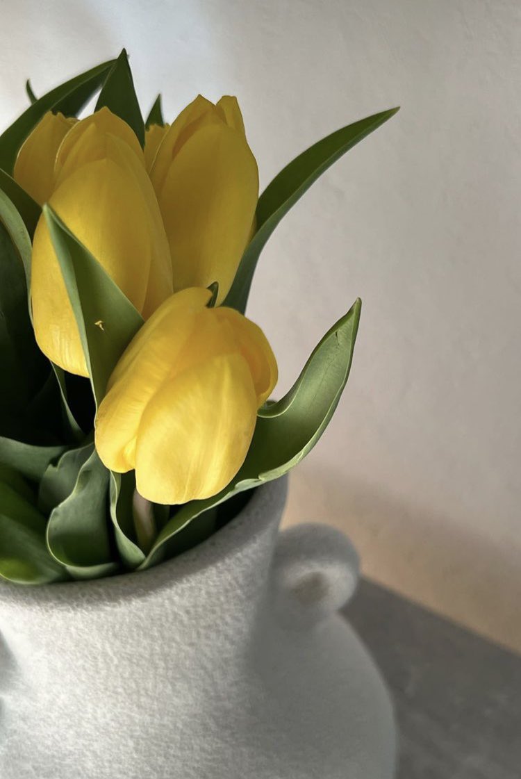 ADIF_eth's tweet image. For you