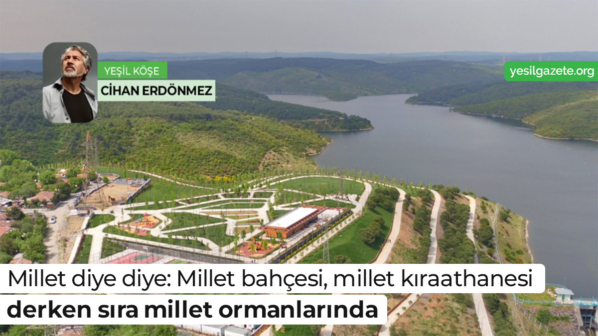 Kent ormancılığı denilince, kentler civarındaki ormanlara otoparklar, yollar, spor alanları vs. yapmayı anlıyorsanız meseleyi hiç ama hiç anlamamışsınız demektir. Cihan Erdönmez yazdı. Ayrıntılar: bit.ly/37JzyHA #yeşilköşe @forestercihan