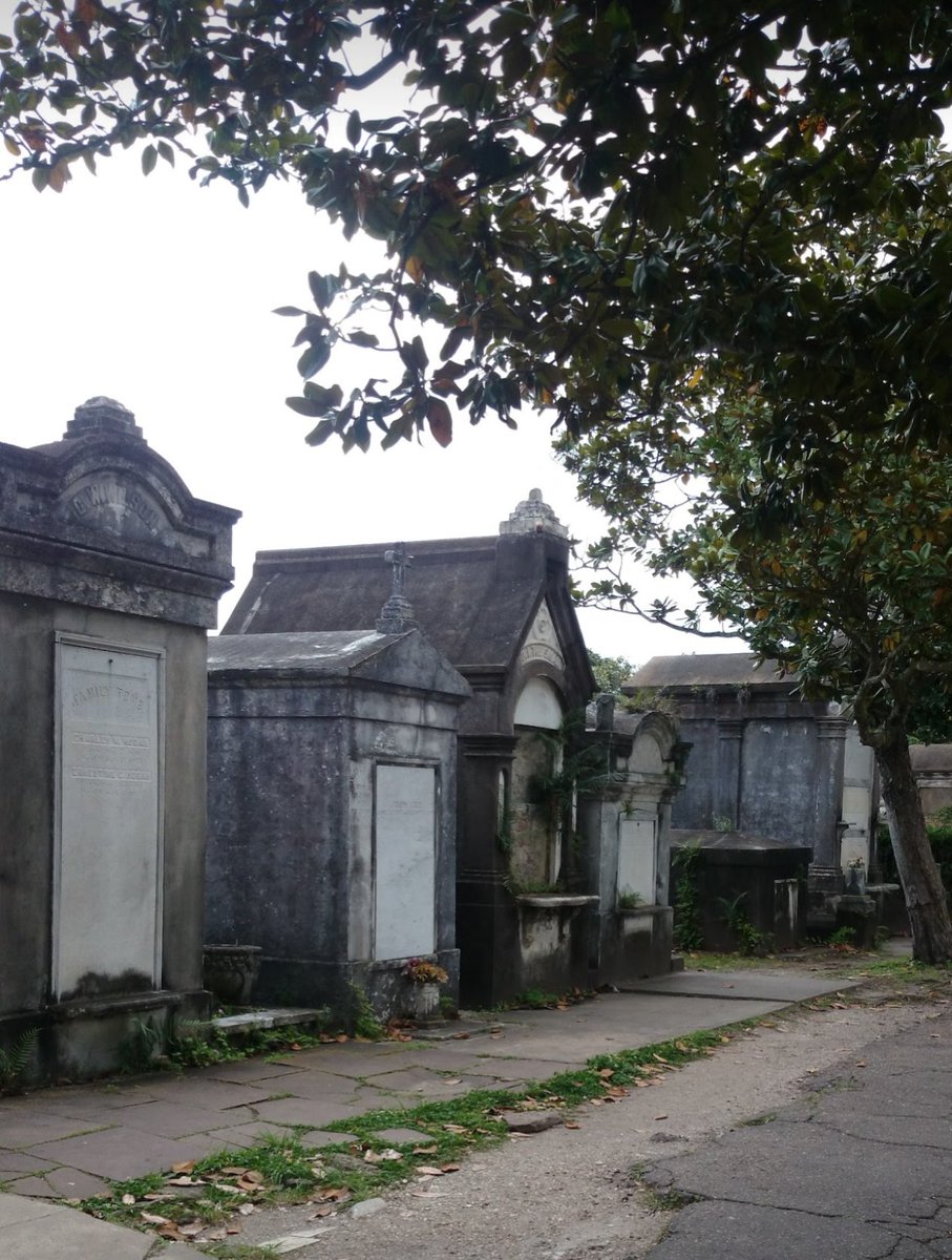 LoveBizarreOdd's tweet photo. Lafayette Cemetery 🪦
#nola #cemetery https://t.co/BTY1QOfMK9