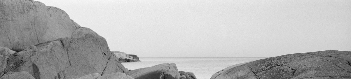 simon_diamond's tweet photo. Wavy.
(Panorama, needs a click)
Lomography Belair X 6-12
Belairgon 90mm F8
Lomo Berlin
HC-110
#ShittyCameraChallenge @ShittyChallenge #GetMono #believeinfilm https://t.co/CtWxN5AcWJ
