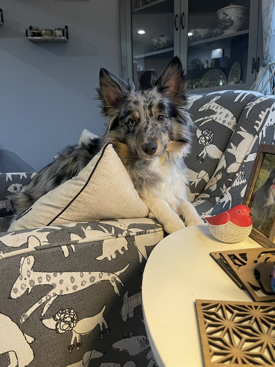 Beastie Boy tweet media