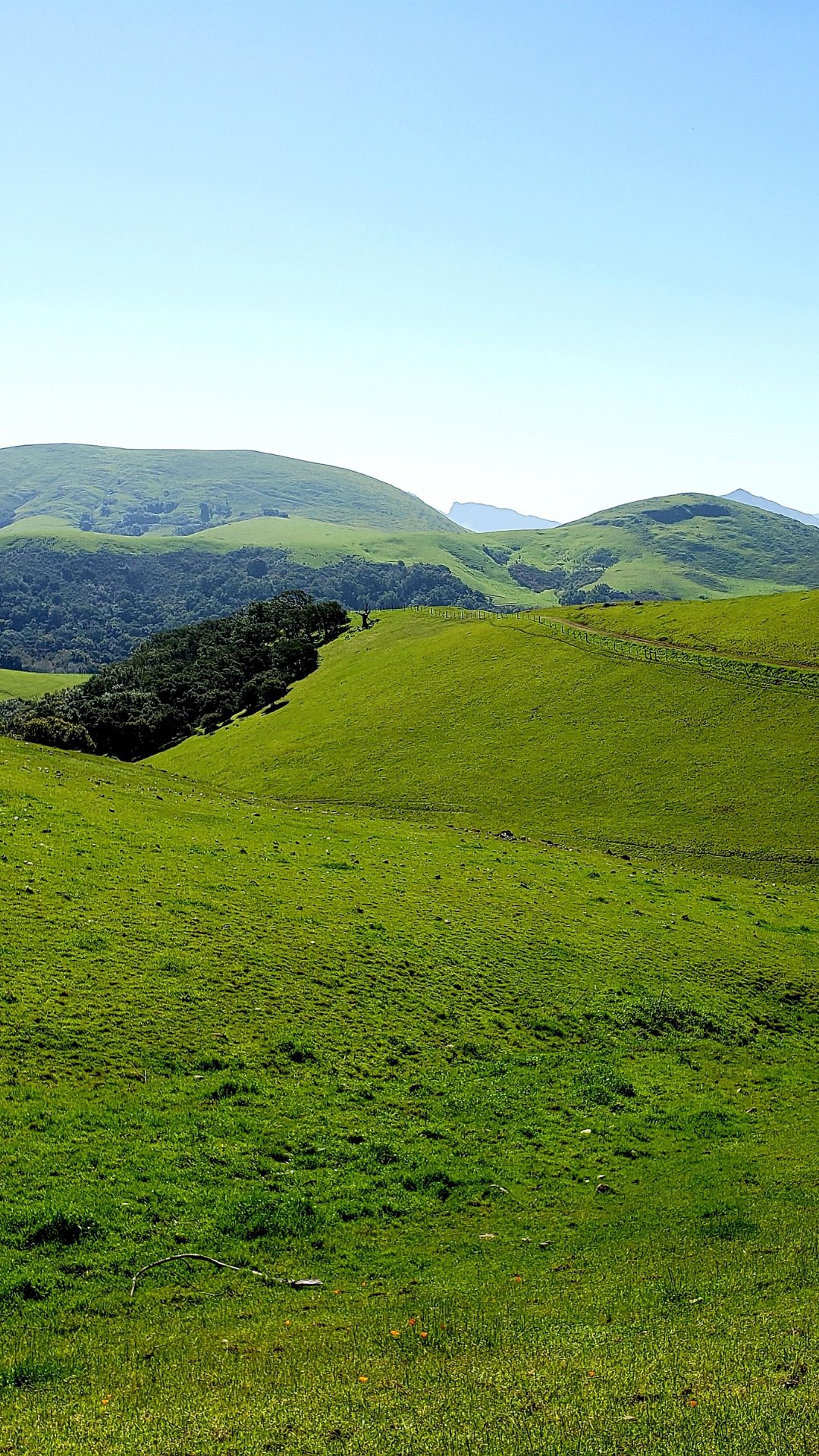slo-dog-hot-dogs-on-twitter-chilling-a-bit-during-calpoly