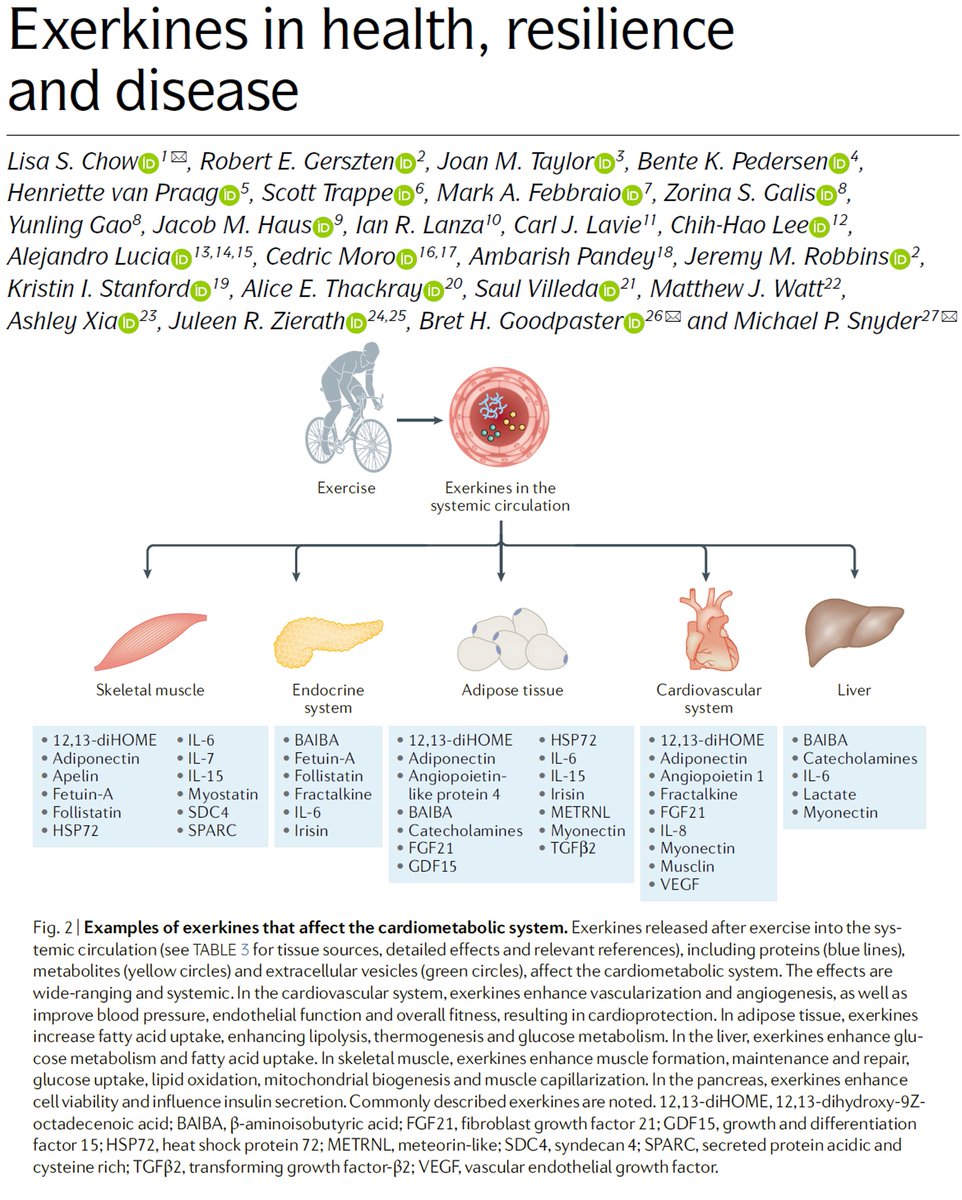 Exercise triggers the production of exercise hormones or Execrines. This review in <a href="/NatureRevEndo/">Nature Reviews Endocrinology</a> summarizes a <a href="/NIH/">NIH</a> sponsored workshop on Exercise in resilience and health. 
nature.com/articles/s4157…