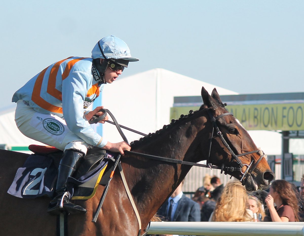 fivestripes's tweet photo. A few pictures from Midlands Grand National day @UttoxeterRaces https://t.co/Uxl5kEcMLV