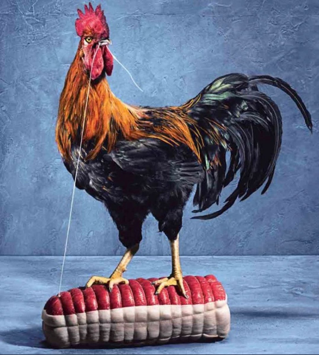 Ladislas Manset (@ladislasmanset) on Twitter photo 