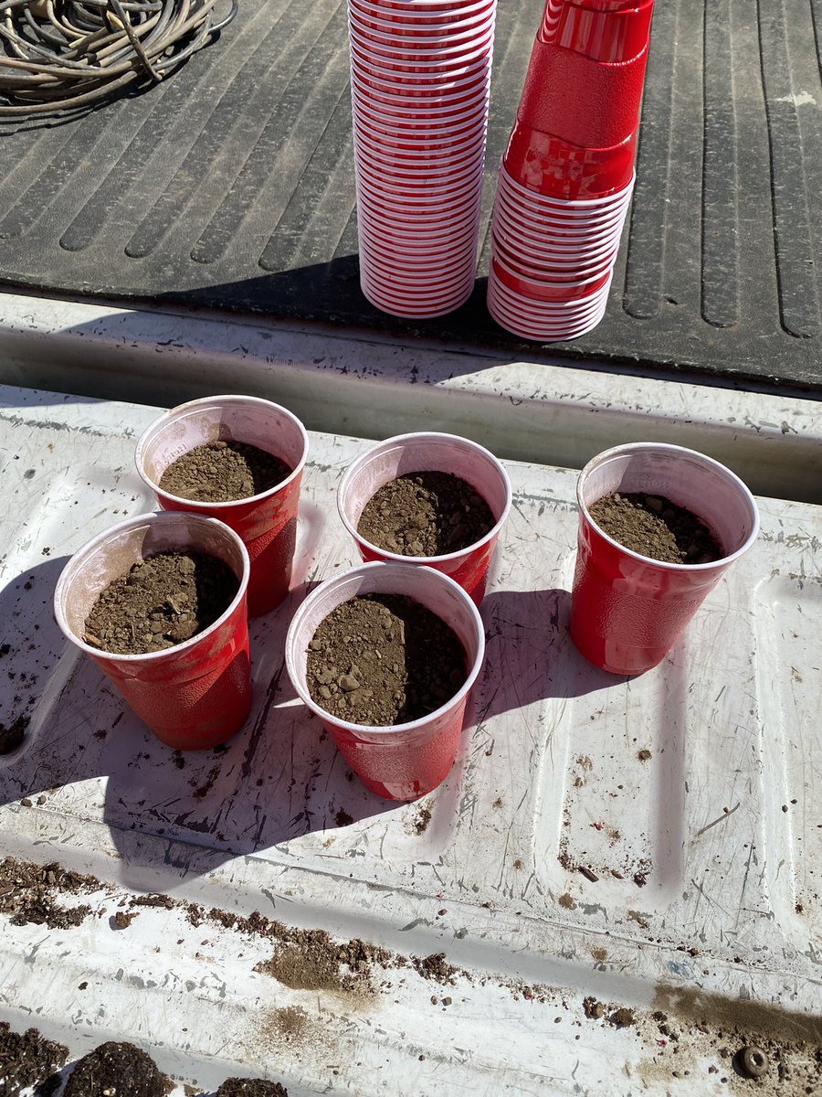 HundredOak's tweet photo. Planting is underway at Hundred Oak! These Bur Oak acorns were collected from 2 sites lasts Fall and are ready to make a forest. #HundredOak #Planting #Trees #Forestry https://t.co/4pEvt0Eq7V