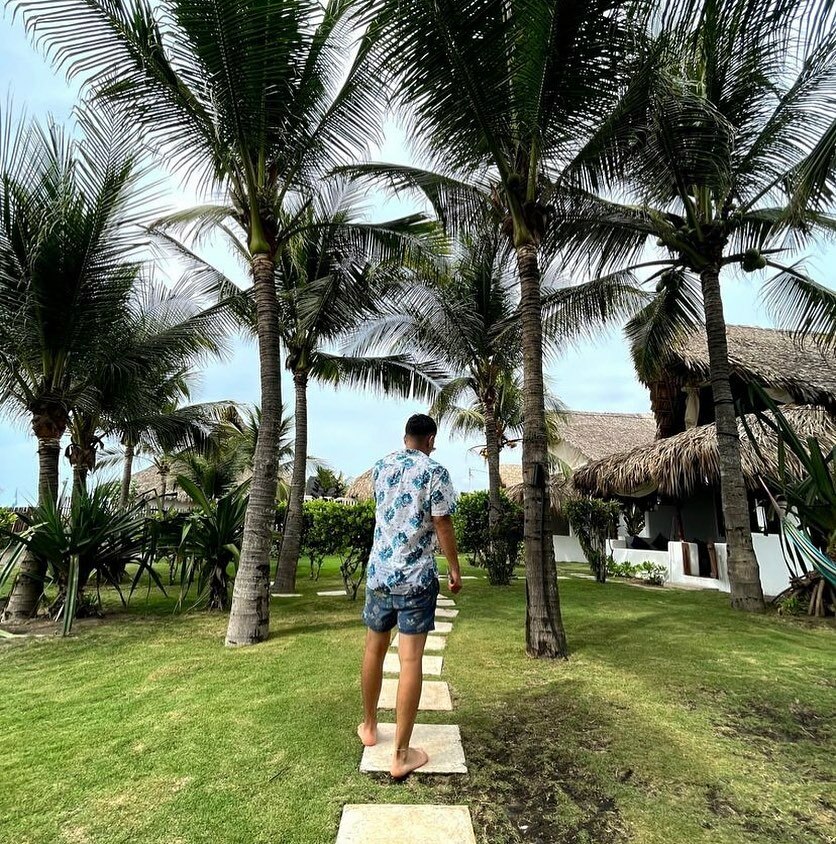 paredonsurf's tweet photo. We belong where palm trees grow 🌴🌴⁣

📷 @jdaniortiz 

#paredonsurfhouse #playaelparedon #guatemala #elparedon #travelguatemala  #surf #surfguatemala #paredon https://t.co/0wYqZKao5z https://t.co/KwhKVPNDiG
