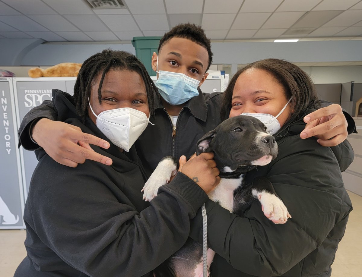 PSPCA's tweet photo. “Until one has loved an animal, a part of one’s soul remains unawakened.” 

Here are this week's adoptions! #adoptdontshop https://t.co/bgWdhKwyPI