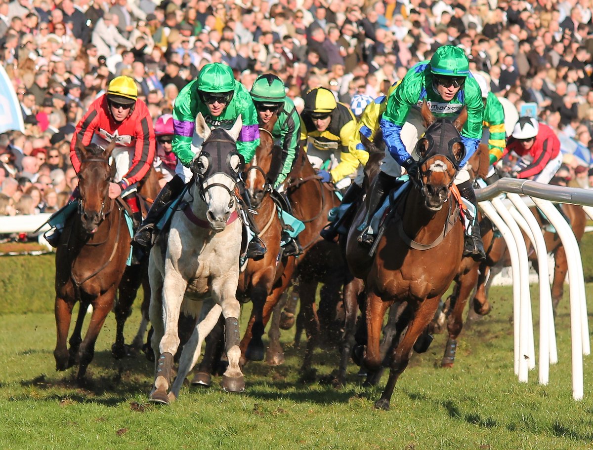 fivestripes's tweet photo. A few pictures from Midlands Grand National day @UttoxeterRaces https://t.co/Uxl5kEcMLV