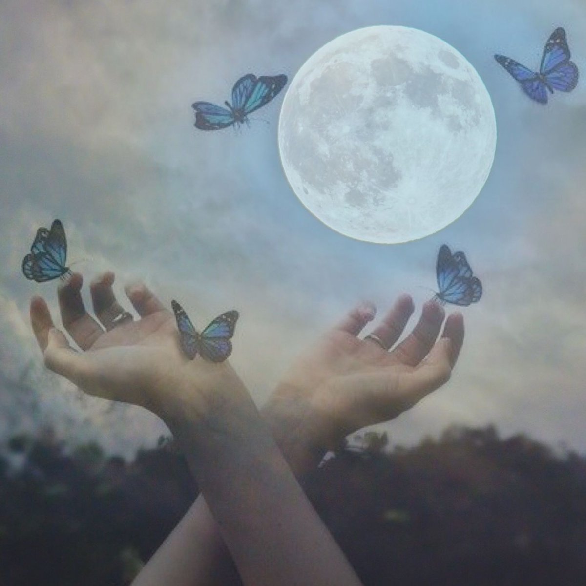 Magical_Margo's tweet photo. / NEW PIN on my @AHS_Butterfly 

and WORDS OF WISDOM in the thread. https://t.co/wXtGQfsSg8