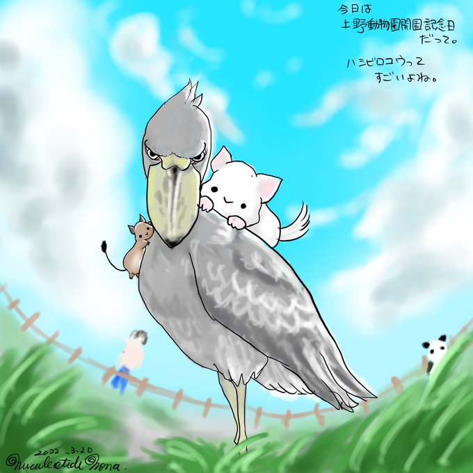 ハシビロコウのtwitterイラスト検索結果