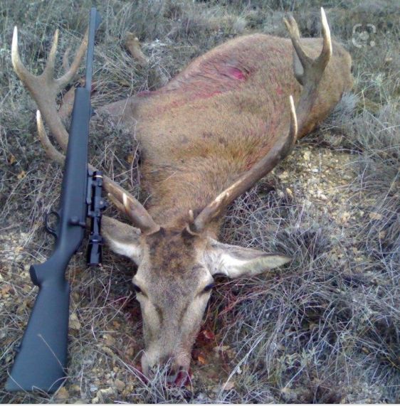 Por una cultura rural sin maltrato animal #RuralSinMaltratoAnimal 
<a href="/sanchezcastejon/">Pedro Sánchez</a> 
<a href="/LuisPlanas/">Luis Planas Puchades</a> 
<a href="/PSOE/">PSOE</a>