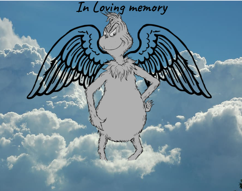 Crisis5_MSUMUN's tweet photo. RIP Grinch you were a real G #o7 #Bigrip #Finthechat #notverycashmoney #smh https://t.co/I8uW4m7YZJ