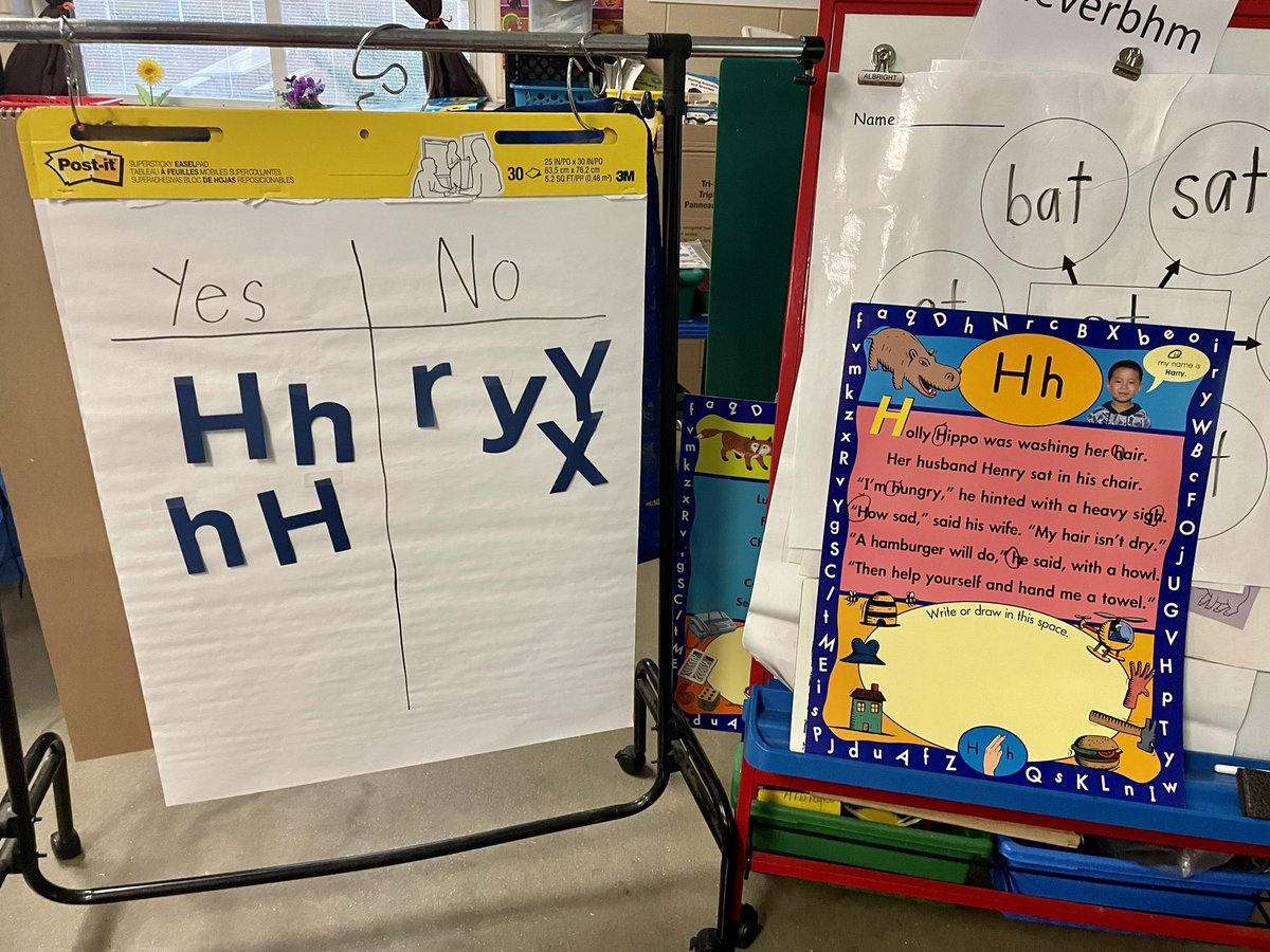 Molly Ward tweet media