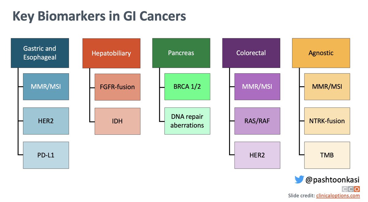Pashtoon Kasi MD, MS (@pashtoonkasi) on Twitter photo What else would you add to this slide?🤔
I prepared this for a talk today to <a href="/oncologynursing/">Oncology Nursing Society</a> <a href="/CCO_Education/">Clinical Care Options</a>.
Find it useful to remind myself of the key 🔑 biomarkers to test for each GI cancer for which there’s at least an approval/guideline recommendation. #MedEd <a href="/OncoAlert/">OncoAlert</a> What else would you add to this slide?🤔
I prepared this for a talk today to <a href="/oncologynursing/">Oncology Nursing Society</a> <a href="/CCO_Education/">Clinical Care Options</a>.
Find it useful to remind myself of the key 🔑 biomarkers to test for each GI cancer for which there’s at least an approval/guideline recommendation. #MedEd <a href="/OncoAlert/">OncoAlert</a>
