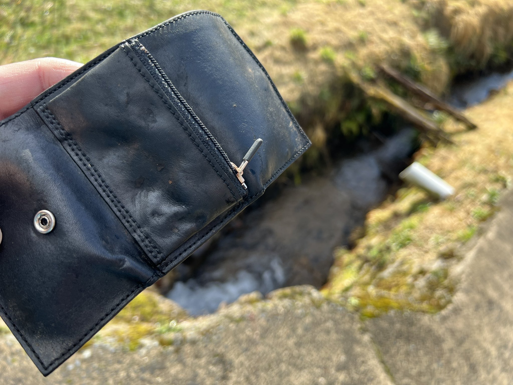 アラスカの川や小川は錆びています。なぜ水はますますオレンジ色になっているのでしょうか?