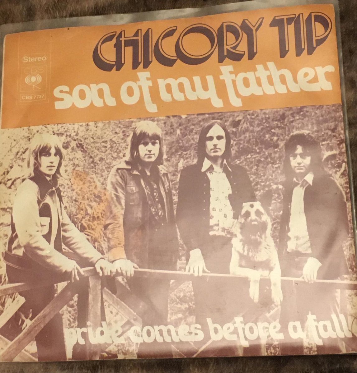 tinynoggin's tweet photo. #sonofmyfather #myrecordcollection #sorrynotsorry #chicorytip #giorgiomoroder #favouritesong #igotproblems https://t.co/jr9Zlq1hyp