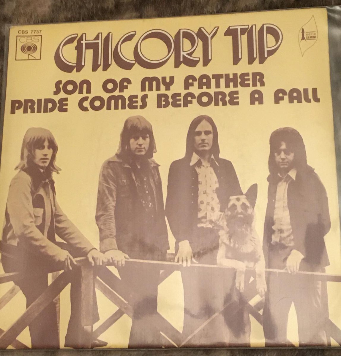 tinynoggin's tweet photo. #sonofmyfather #myrecordcollection #sorrynotsorry #chicorytip #giorgiomoroder #favouritesong #igotproblems https://t.co/jr9Zlq1hyp
