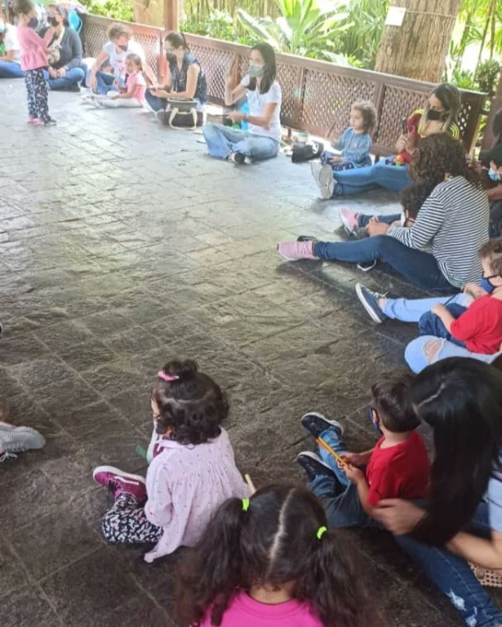 Programa NIS tweet media