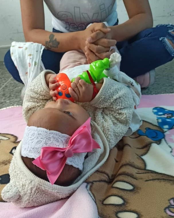 Programa NIS tweet media