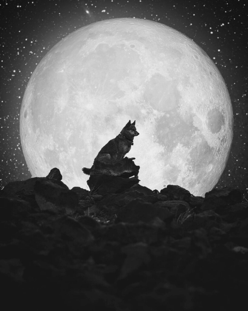 BeeTheRich's tweet photo. Sometimes being alone is the best way, it takes away problems, people, disappointments. https://t.co/twObE9jd0t