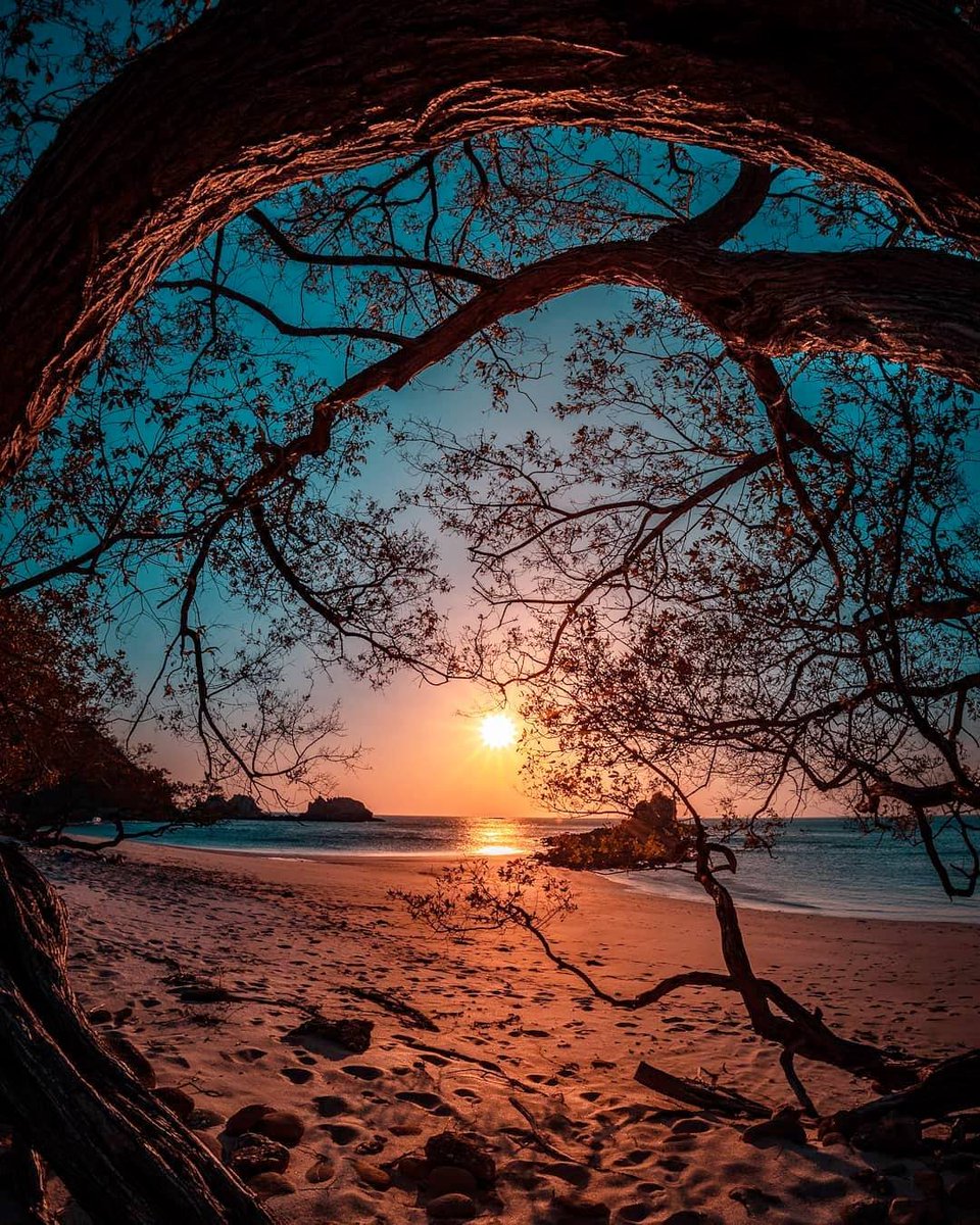La Cruz, Guanacaste, Costa Rica

Credits: Giulio Dng
 #naturephotography