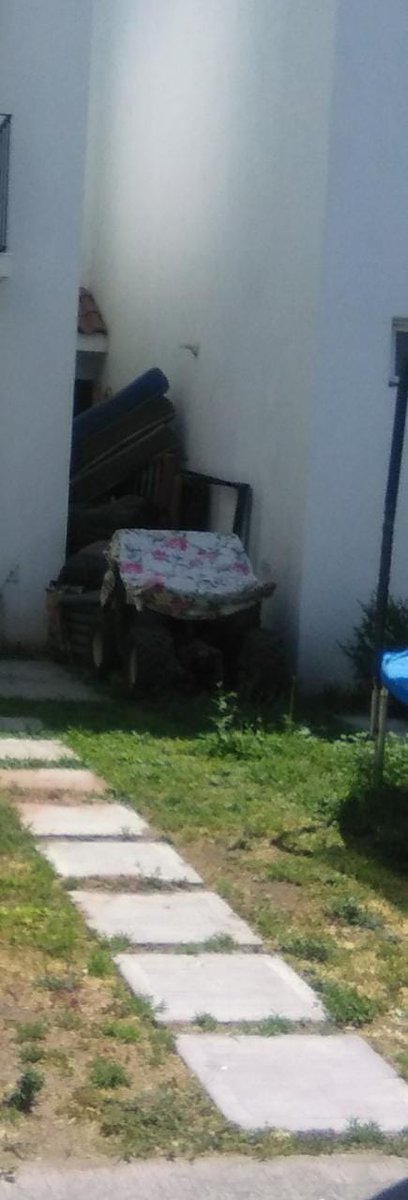 AcColonos's tweet photo. @JviiPrograma @municipio_leon @SaludGuanajuato Buenas tardes , 
@SaludGuanajuato
 de su valiosa ayuda  Jurisdicción Sanitaria VII, vecino con probable riesgo de generación de fauna nociva y dengue @municipio_leon #TodosContraElDengue 
@JviiPrograma
 fraccionamiento ANTURIOS 37289 sobre Pedregal del sol https://t.co/xlSU4OCymR