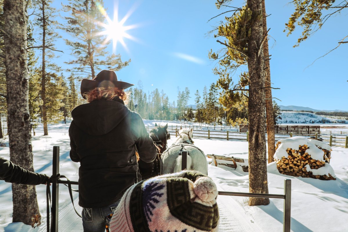 DevilsThumbRnch's tweet photo. Sunshine n’ sleigh rides 🙌
#DevilsThumbRanch #RanchLife https://t.co/p9d5PKuCEg