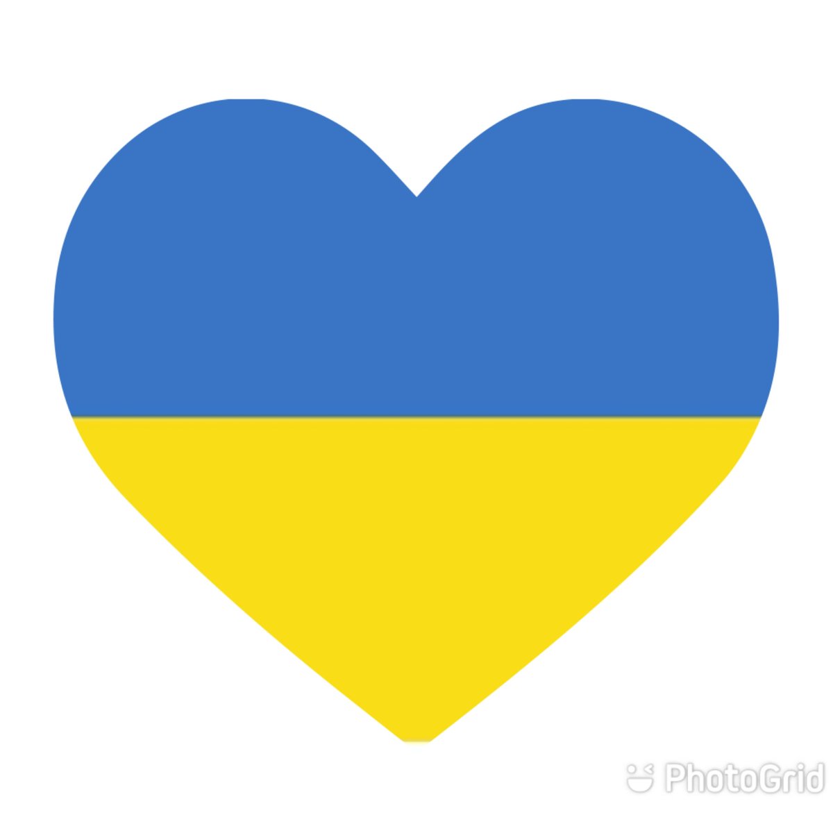 fishowl626's tweet image. #NoWarInUkraine
#StopRussiaAggression