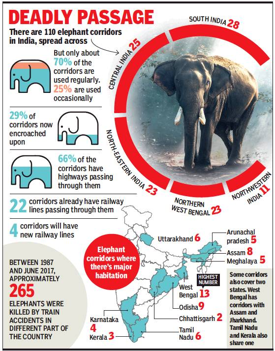 QinweiS's tweet photo. #39canimals
This is another inforgraphic I found online. 
I didn't know they also die to highway. https://t.co/DbDgdl0qzT