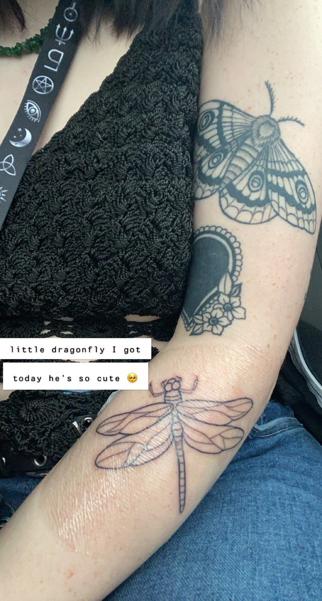 ditsiestdaisy's tweet photo. https://t.co/gmchejWVDu