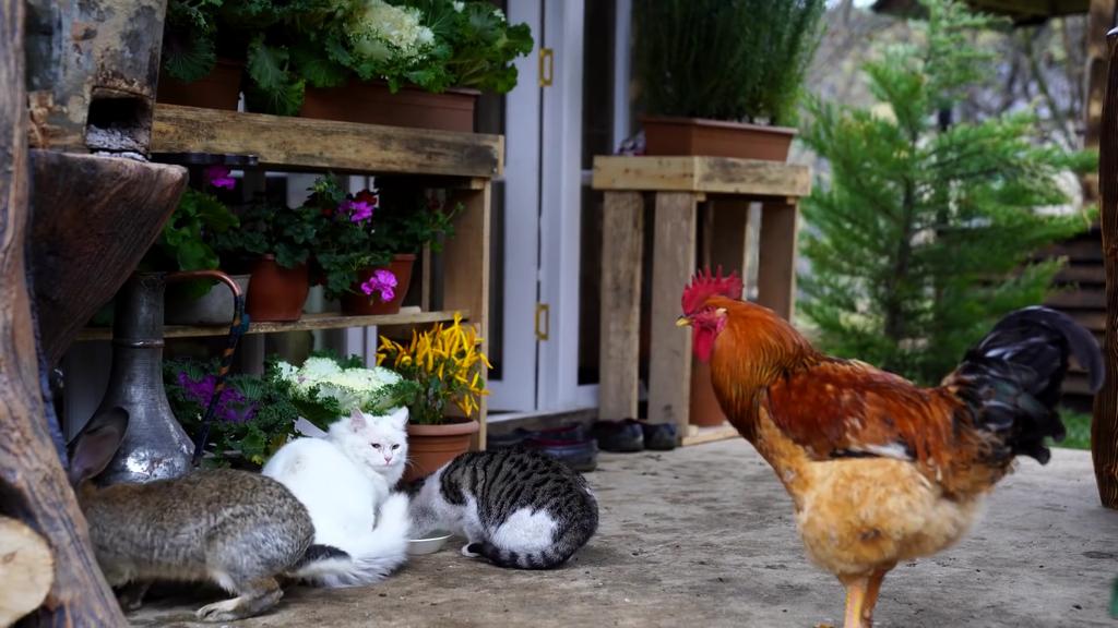 Moumin Lovable (@lovablemoumin) on Twitter photo 