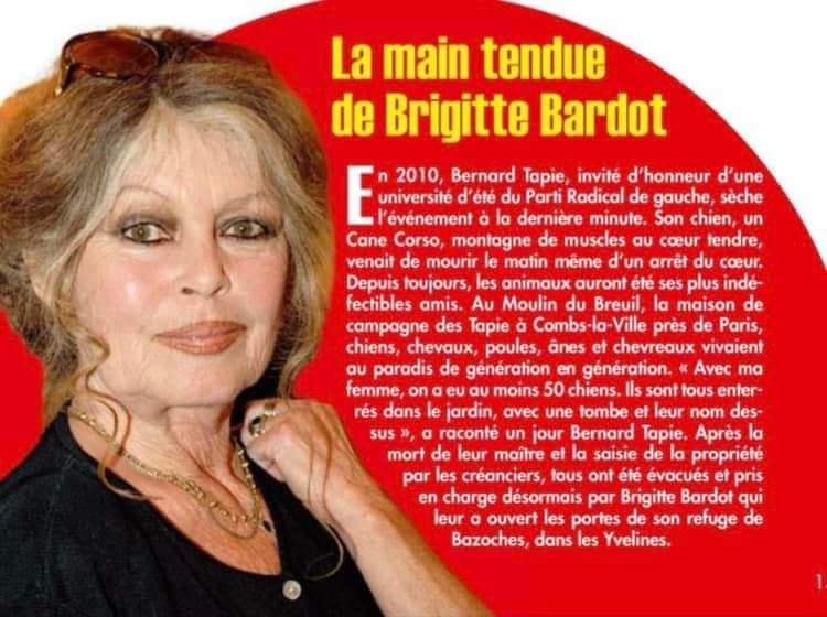 👉 Brigitte Bardot a recueilli tous les animaux qui vivaient heureux dans la propriété de Bernard Tapie, hélas saisie par les huissiers… Merci à elle ! 🥰
#BernardTapie #BB