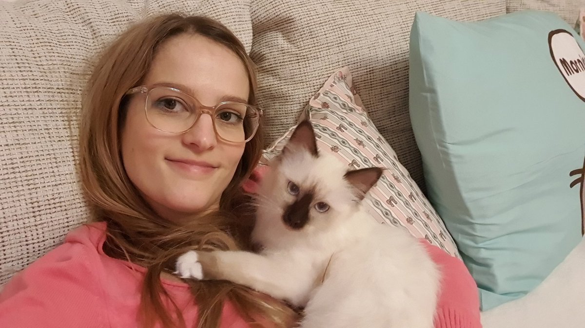 memechan85's tweet photo. #MochiBabyMemechan
#CatsOfTwitter #sacretbirman #birman #16weeksold
โคโคโค
The reason I barely draw โบ even if I want.. she wants more attention... baby cat ๐๐๐โค https://t.co/RIelvYXEfa