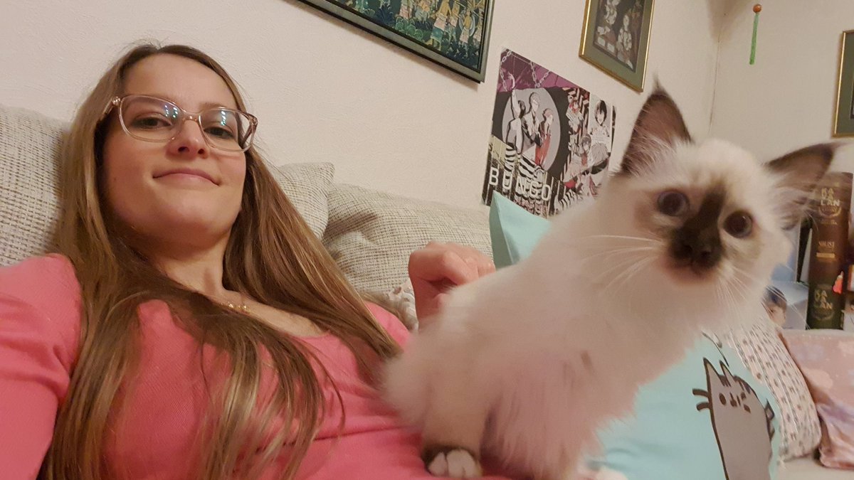 memechan85's tweet photo. #MochiBabyMemechan
#CatsOfTwitter #sacretbirman #birman #16weeksold
โคโคโค
The reason I barely draw โบ even if I want.. she wants more attention... baby cat ๐๐๐โค https://t.co/RIelvYXEfa