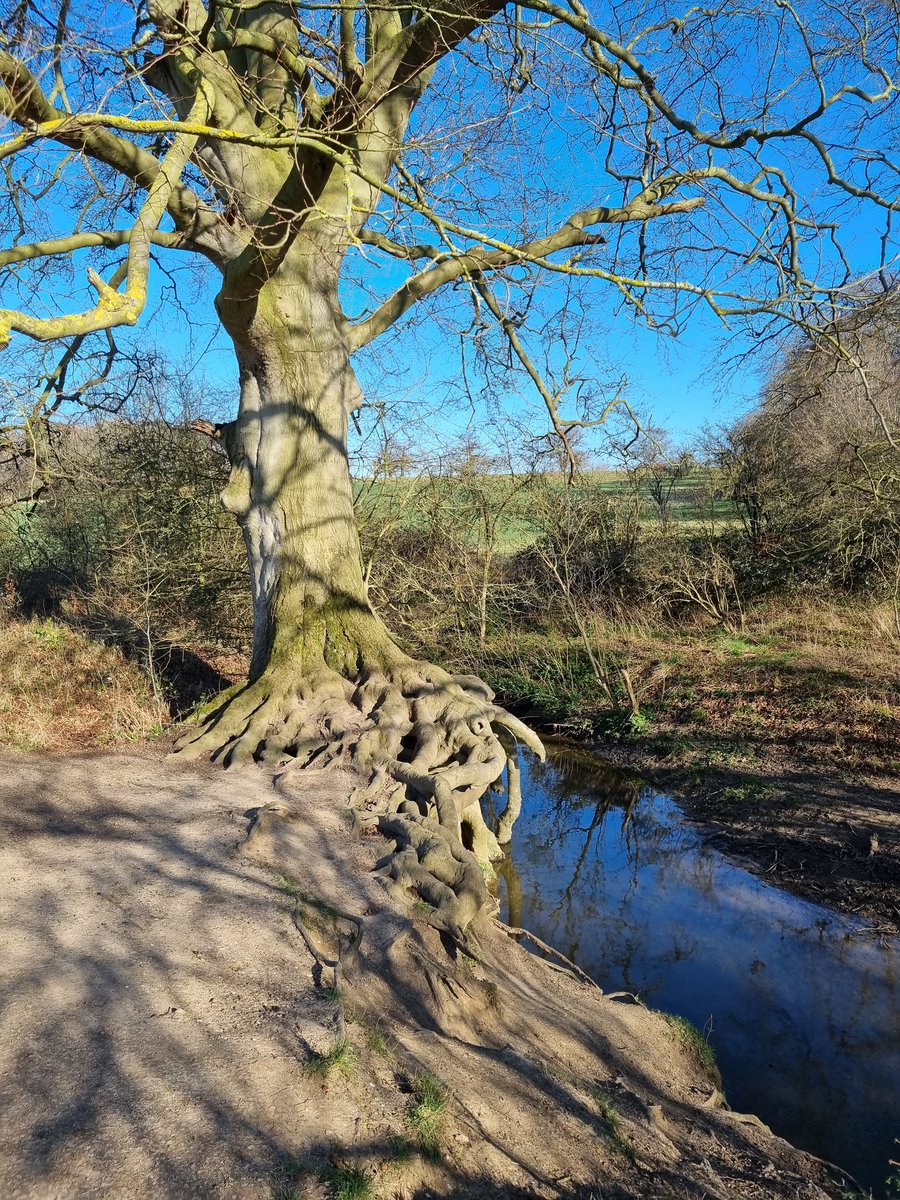 Today, this was what I needed.