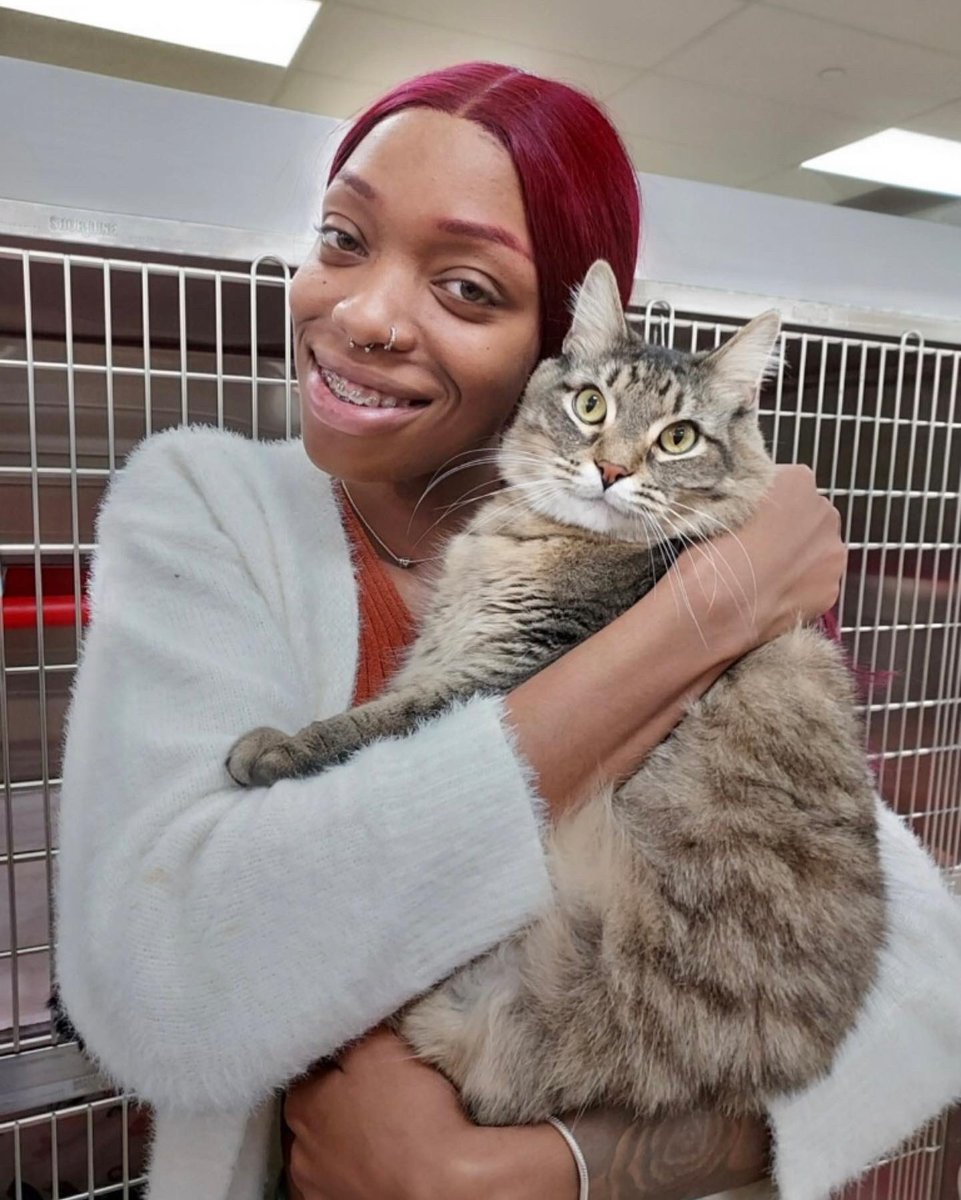 SPCACincinnati's tweet photo. Hope you’re having a wonderful #Caturday! We’d say things are going purrrfect🐾… overjoyed that these beautiful sweet cats have found their people — making the best cuddle buddies on this chilly day! Our staff wishes #PooBear, #Goyle, #Malfoy, #Crabble and #Gary the very best. https://t.co/vhxBAyvvtm